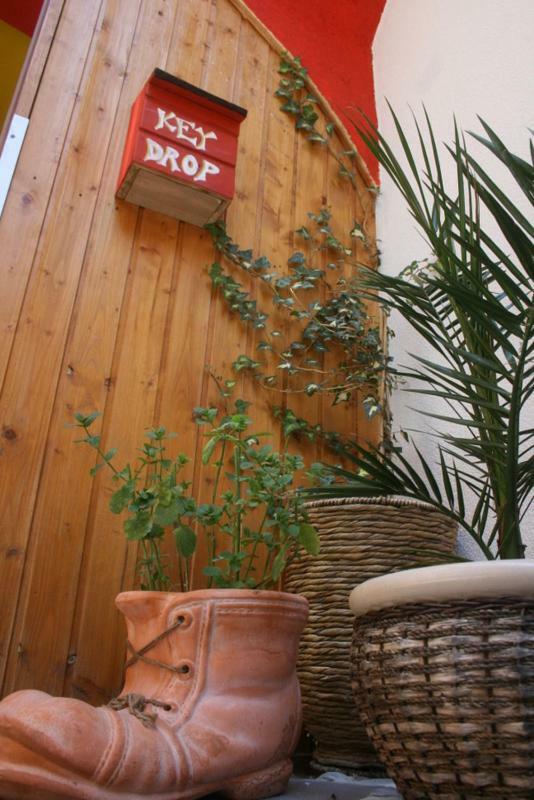 The Mellow Monkey Hostelザダル エクステリア 写真