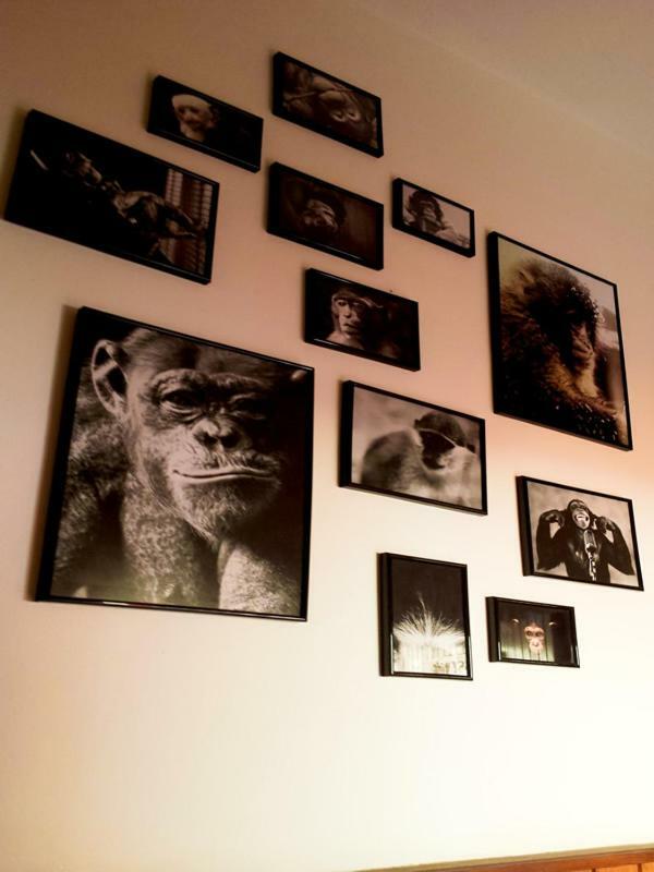 The Mellow Monkey Hostelザダル エクステリア 写真